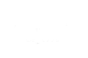 Bradesco Seguros (2)